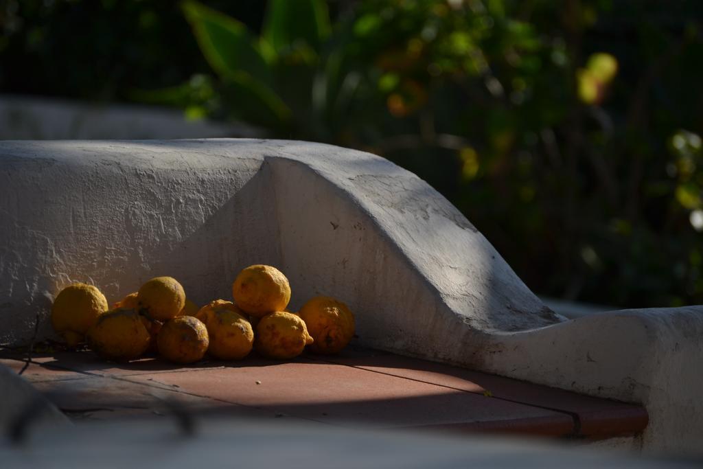 Villa Schicciolina Stromboli Exterior foto